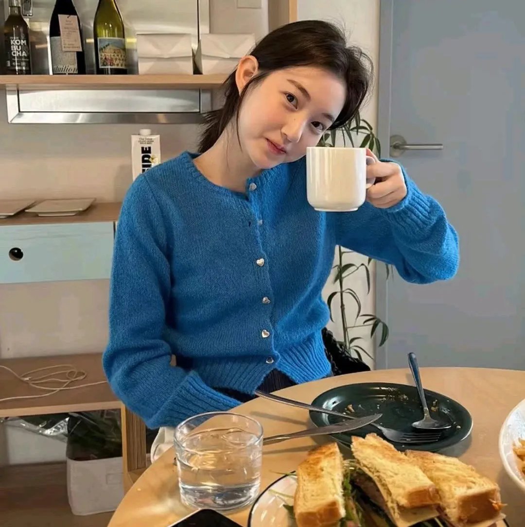 叛碟